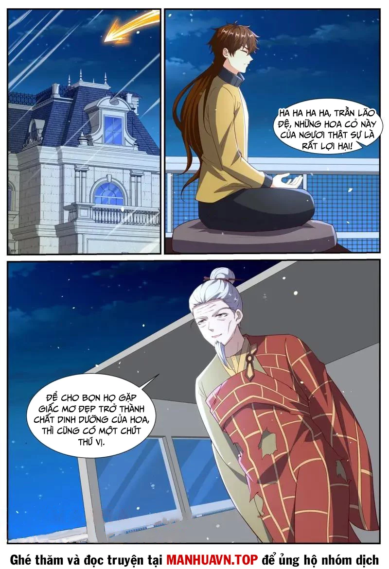 Trọng Sinh Đô Thị Tu Tiên Chapter 1031 - Trang 4