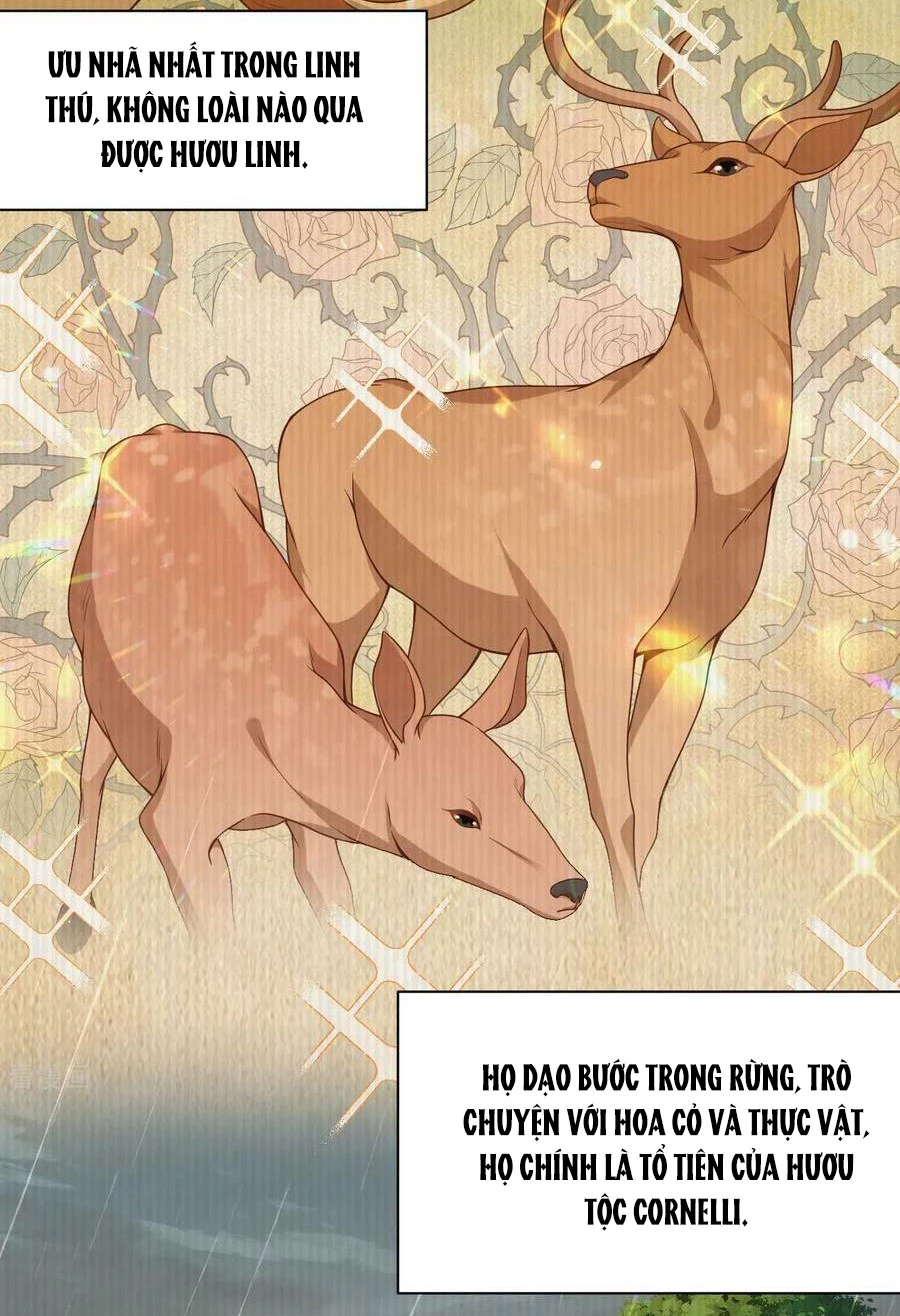 Từ Hôm Nay Bắt Đầu Làm Thành Chủ Chapter 481 - Trang 4