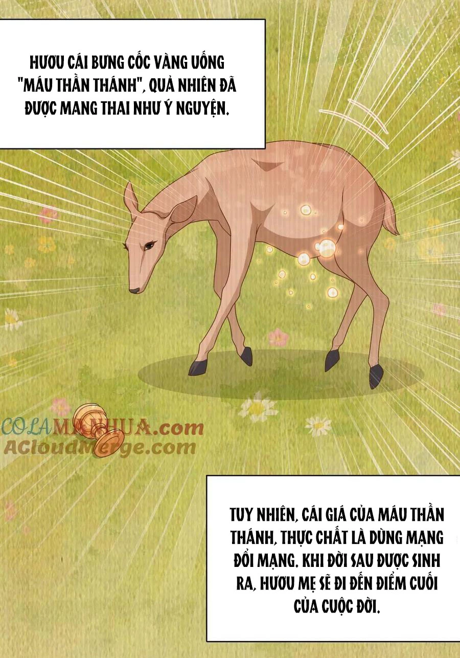 Từ Hôm Nay Bắt Đầu Làm Thành Chủ Chapter 481 - Trang 4