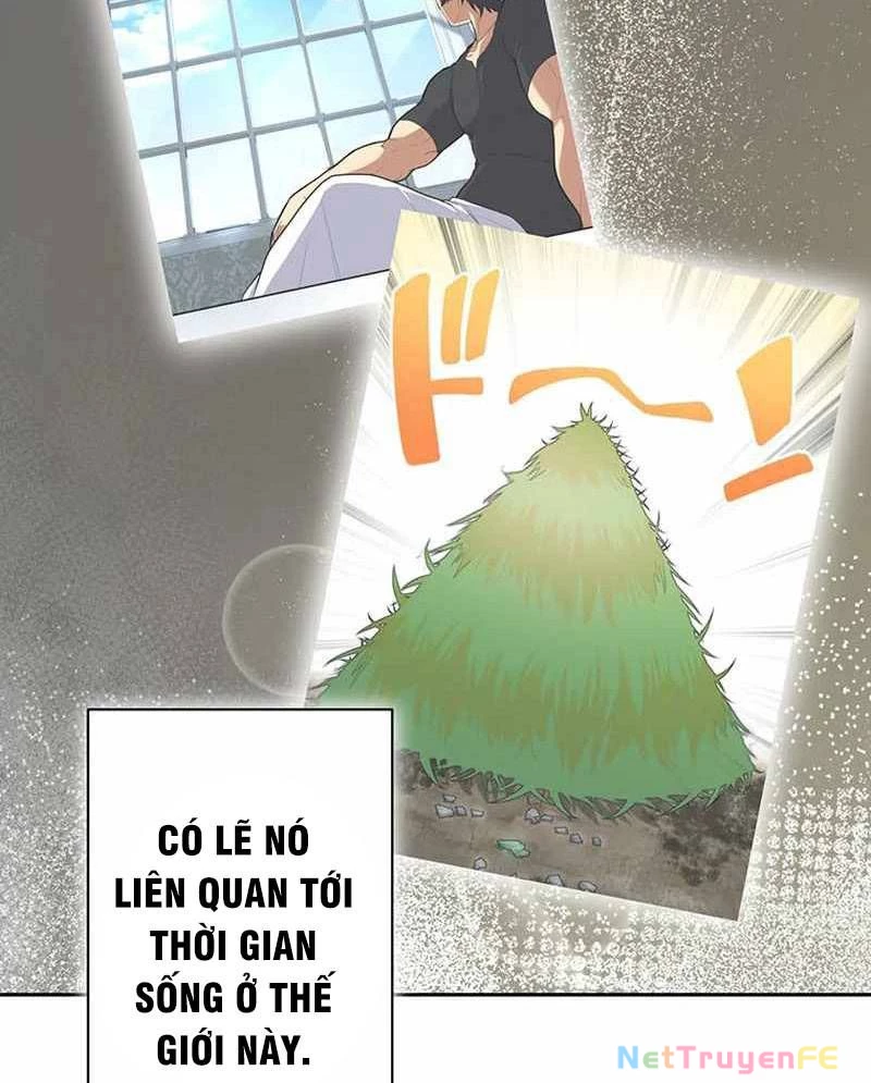 Kiếm Thánh Tái Sinh Thành Quỷ Đế Chapter 9 - Trang 2