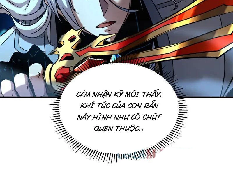 Đệ Tử Tu Luyện Còn Ta Thì Lười Biếng Chapter 107 - Trang 4