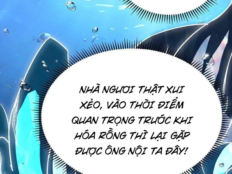 Đệ Tử Tu Luyện Còn Ta Thì Lười Biếng Chapter 108 - Trang 4