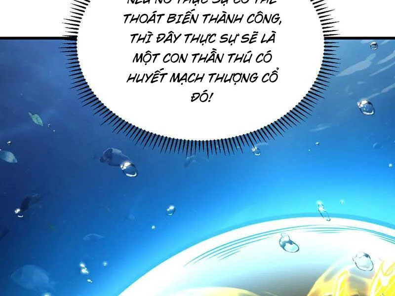 Đệ Tử Tu Luyện Còn Ta Thì Lười Biếng Chapter 108 - Trang 4