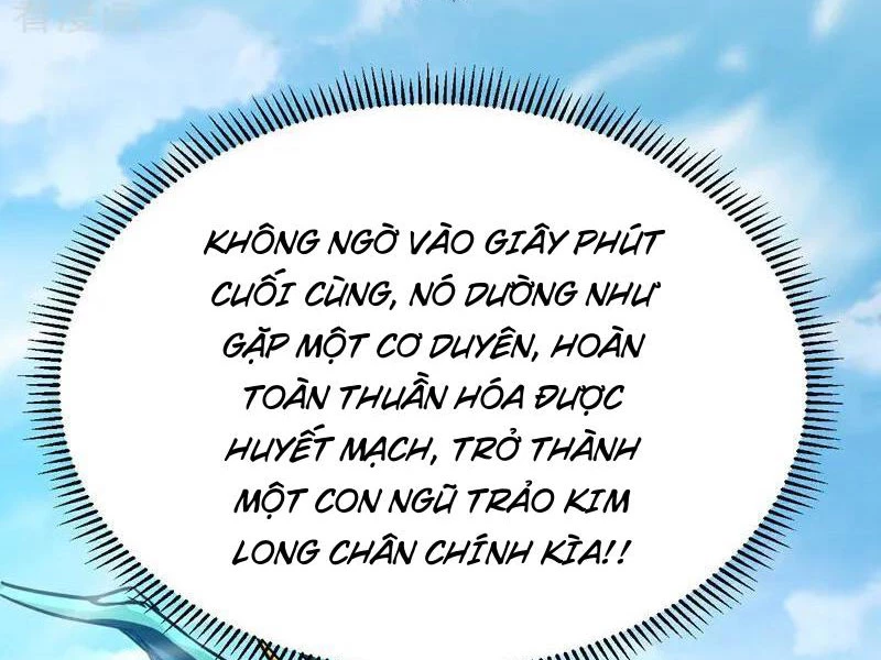 Đệ Tử Tu Luyện Còn Ta Thì Lười Biếng Chapter 109 - Trang 4