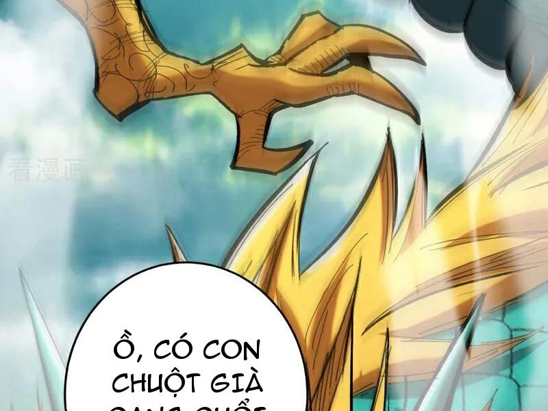 Đệ Tử Tu Luyện Còn Ta Thì Lười Biếng Chapter 110 - Trang 4