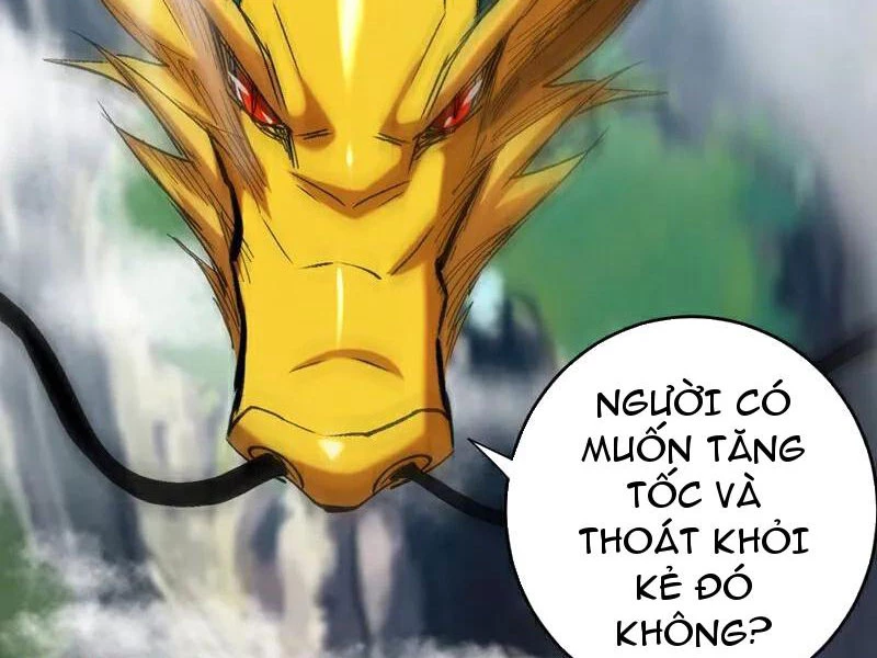 Đệ Tử Tu Luyện Còn Ta Thì Lười Biếng Chapter 110 - Trang 4