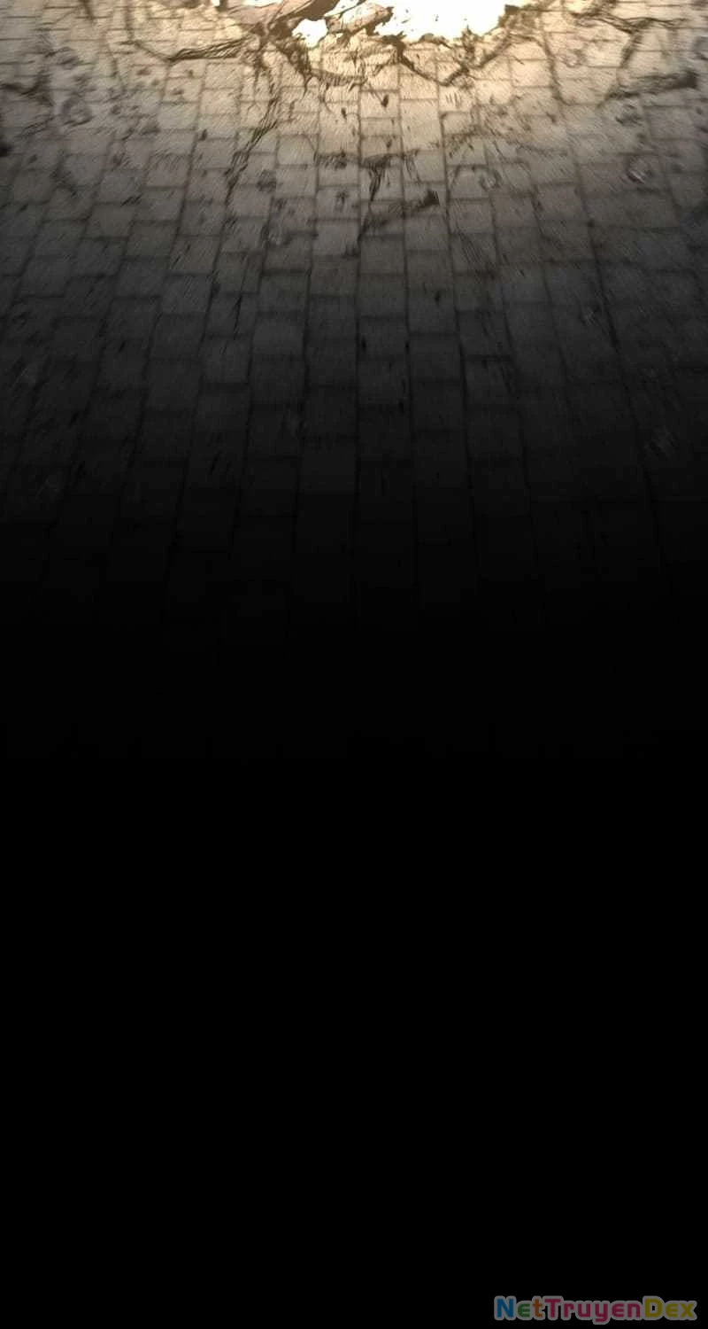 Tử Linh Sư Mạnh Nhất Chapter 64 - Trang 2