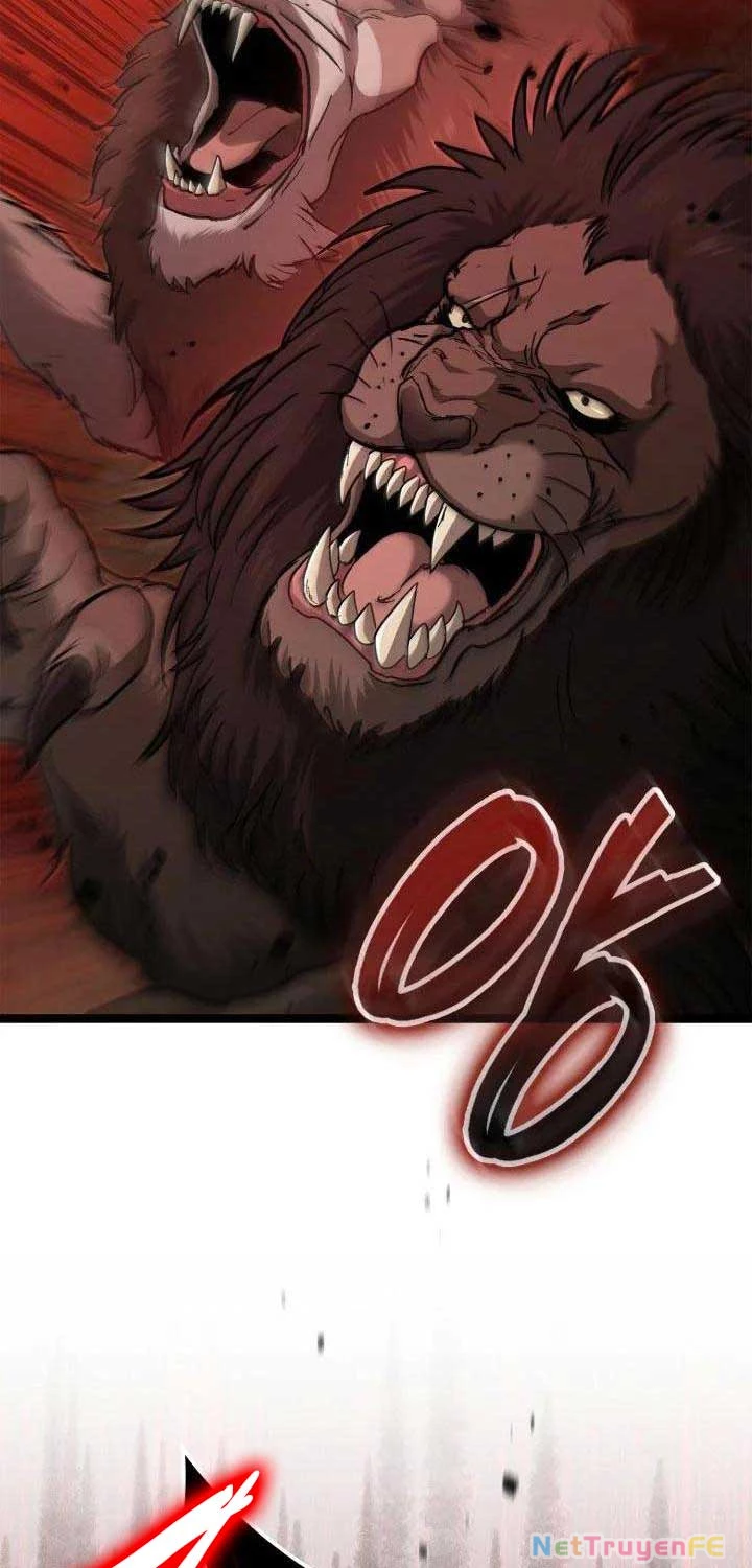 Nhà Vô Địch Kalli Chapter 80 - Next Chapter 81