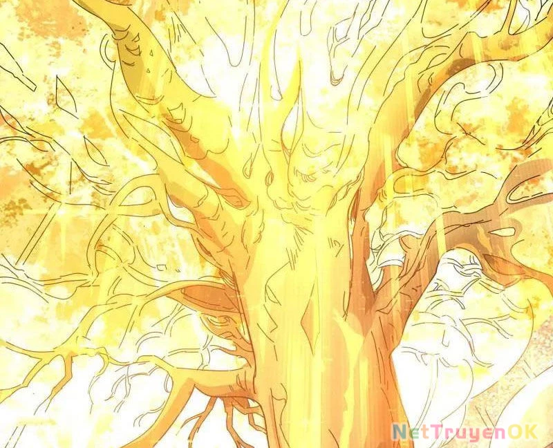 Vừa Chơi Đã Có Tài Khoản Vương Giả Chapter 480 - Trang 4