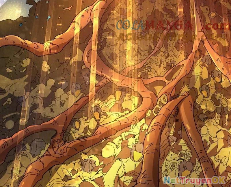 Vừa Chơi Đã Có Tài Khoản Vương Giả Chapter 480 - Trang 4