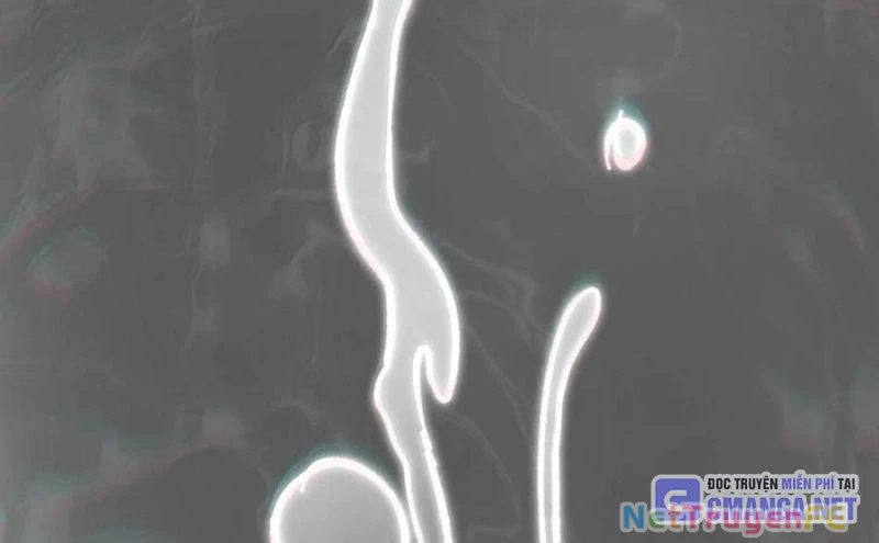 Sức Mạnh Của Ác Thần Chapter 134 - Trang 4