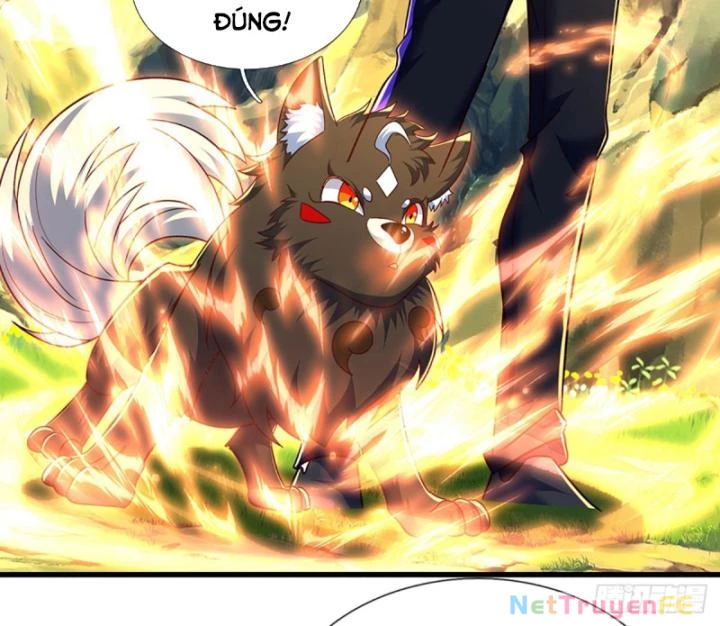 Luyện Thể Trăm Nghìn Tầng Chapter 347 - Trang 4