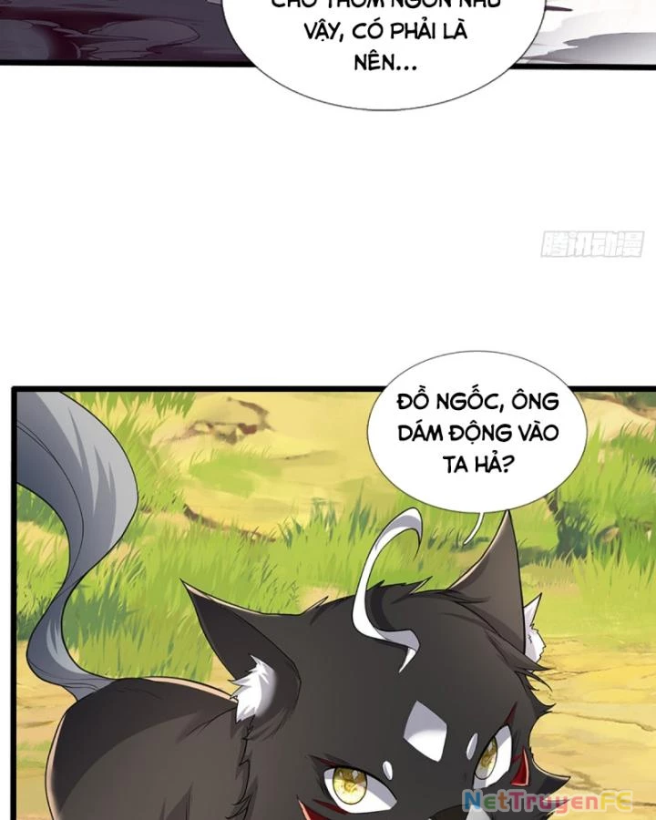 Luyện Thể Trăm Nghìn Tầng Chapter 348 - Trang 4