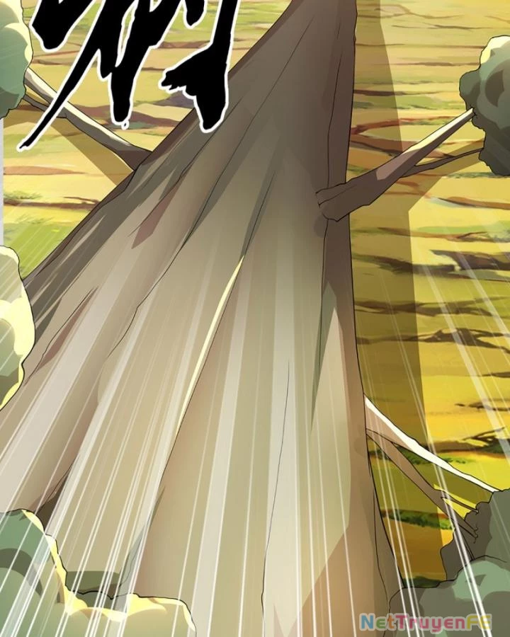 Luyện Thể Trăm Nghìn Tầng Chapter 365 - Trang 4