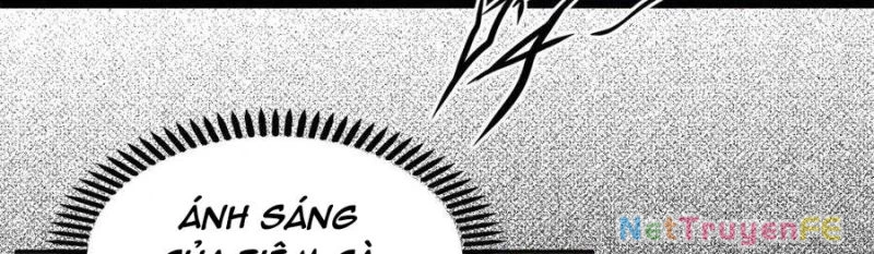 Trùng Sinh 1998 Ta Làm Thập Nhị Đại Phú Hào Chapter 20 - Trang 2