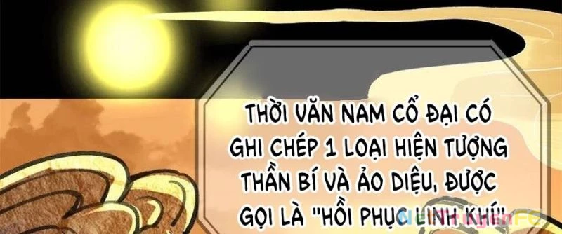 Trùng Sinh 1998 Ta Làm Thập Nhị Đại Phú Hào Chapter 20 - Trang 2