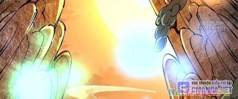 Trùng Sinh 1998 Ta Làm Thập Nhị Đại Phú Hào Chapter 20 - Trang 2