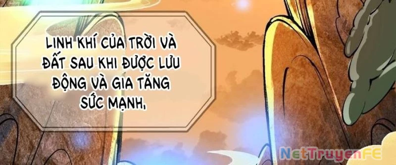 Trùng Sinh 1998 Ta Làm Thập Nhị Đại Phú Hào Chapter 20 - Trang 2