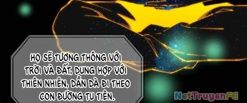 Trùng Sinh 1998 Ta Làm Thập Nhị Đại Phú Hào Chapter 20 - Trang 2