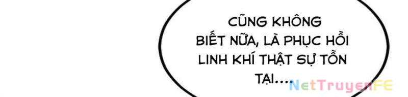 Trùng Sinh 1998 Ta Làm Thập Nhị Đại Phú Hào Chapter 20 - Trang 2