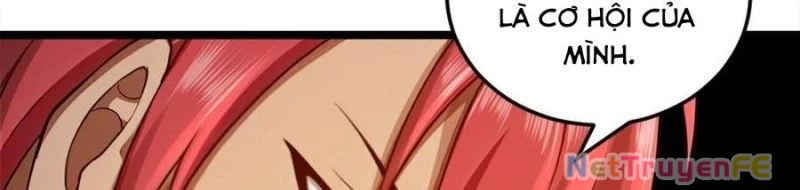 Trùng Sinh 1998 Ta Làm Thập Nhị Đại Phú Hào Chapter 20 - Trang 2