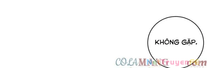 Trùng Sinh 1998 Ta Làm Thập Nhị Đại Phú Hào Chapter 22 - Trang 2