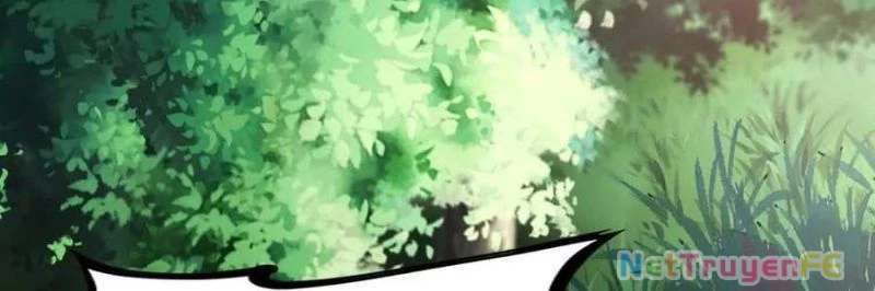 Trùng Sinh 1998 Ta Làm Thập Nhị Đại Phú Hào Chapter 24 - Trang 2