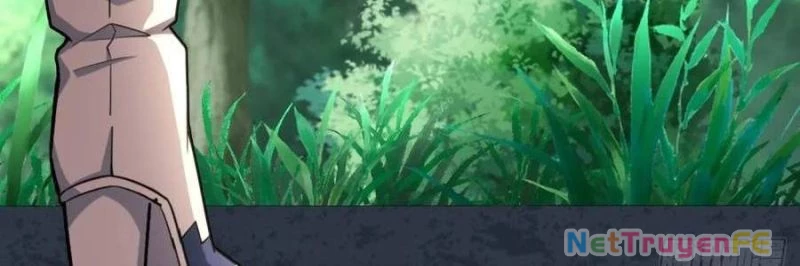 Trùng Sinh 1998 Ta Làm Thập Nhị Đại Phú Hào Chapter 24 - Trang 2