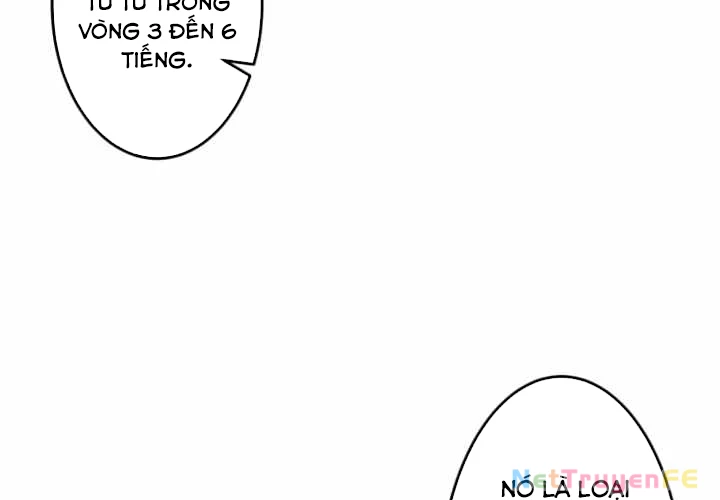 Đảo Ngược Cuộc Đời Của Tôi Như Một Nhân Vật Phụ Chapter 5 - Trang 3