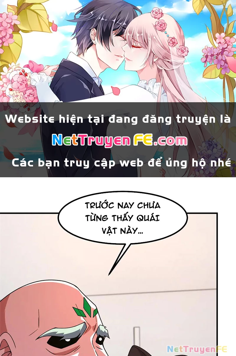 Thần Sủng Tiến Hóa Chapter 342 - Trang 4