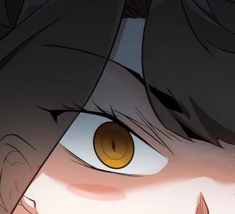 Đồ Đệ Của Ta Đều Là Đại Phản Phái Chapter 283 - Trang 4