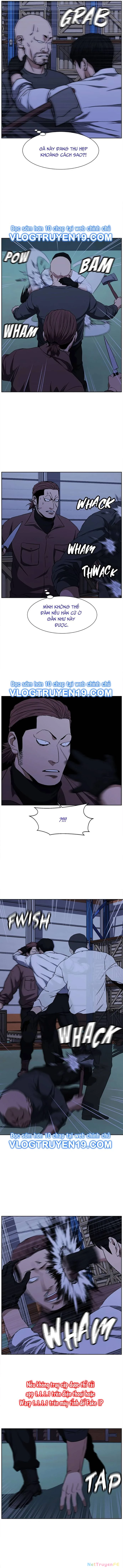 Bố Già Trùng Sinh Chapter 50 - Trang 4