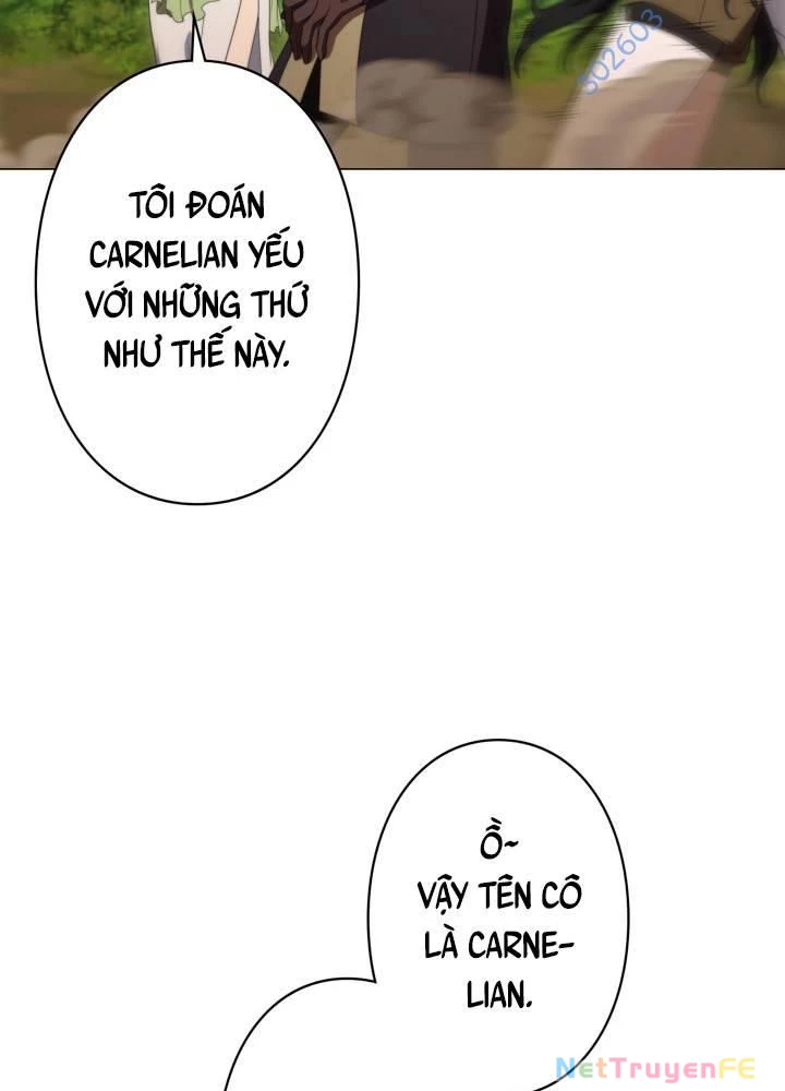 Khế Ước Long Nhân Chapter 21 - Trang 2