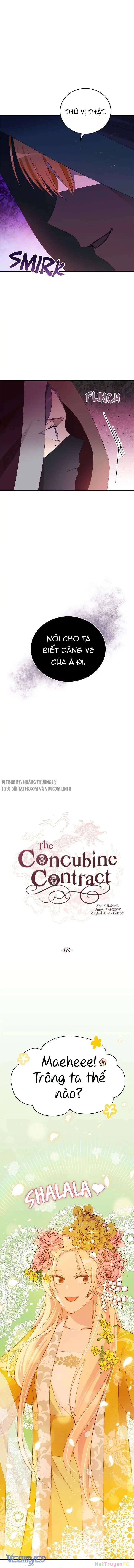 Ái Phi, Dao Của Nàng Rơi Rồi Chapter 89 - Trang 4