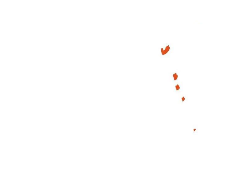 Trọng Sinh Không Làm Chạn Vương, Tôi Một Mình Nạp Game Thăng Cấp Chapter 130 - Trang 4