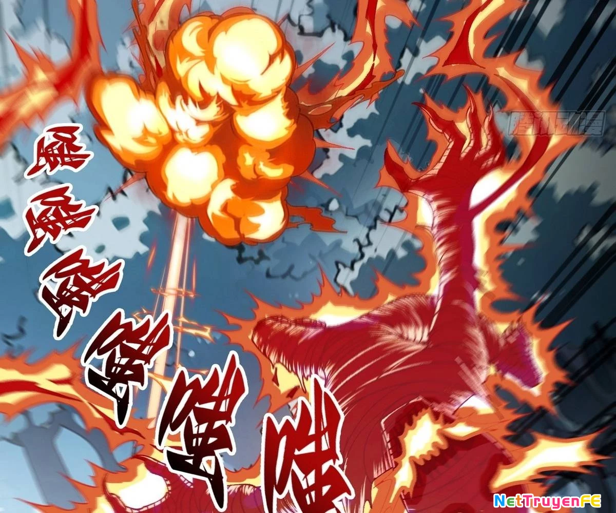 Ta Đoạt Xá Tử Thần, Phản Kích Xưng Vương! Chapter 5 - Trang 2