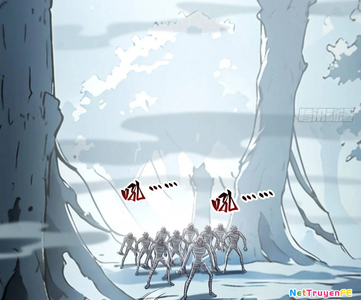 Ta Đoạt Xá Tử Thần, Phản Kích Xưng Vương! Chapter 5 - Trang 2