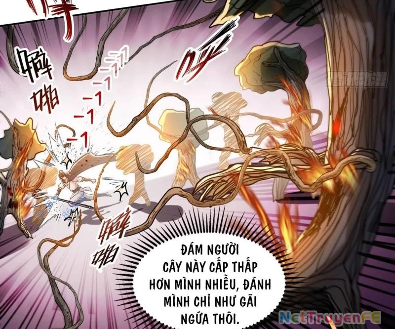 Ta Đoạt Xá Tử Thần, Phản Kích Xưng Vương! Chapter 11 - Trang 2