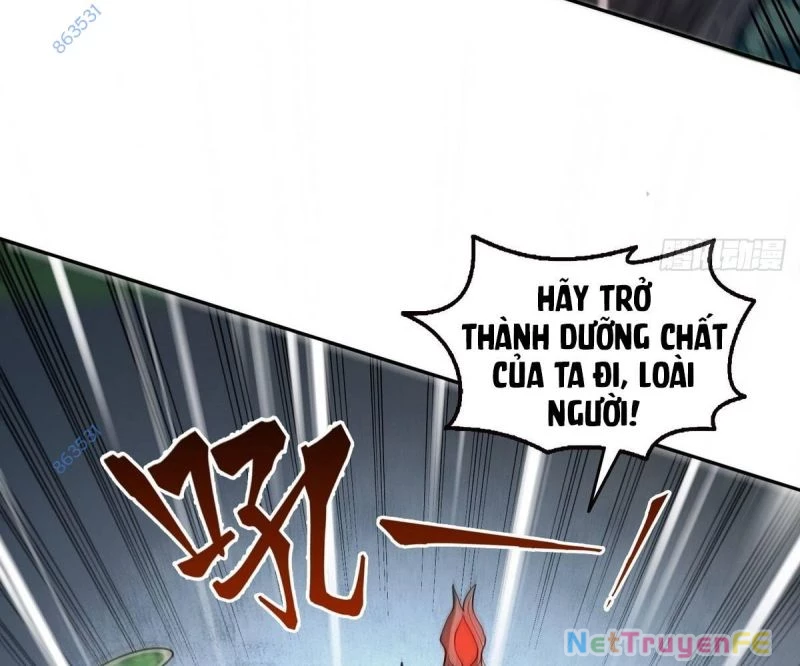 Ta Đoạt Xá Tử Thần, Phản Kích Xưng Vương! Chapter 11 - Trang 2