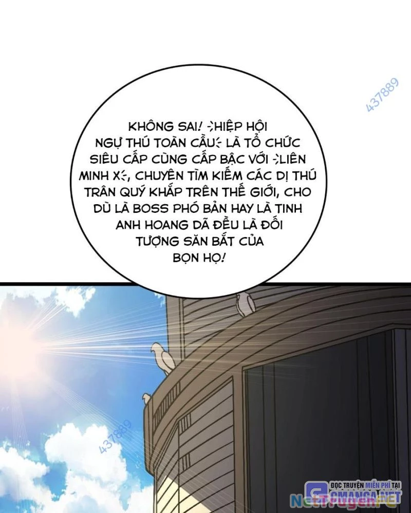 Bắt Đầu Kế Nhiệm Boss Hắc Long, Ta Vô Địch Chapter 16 - Trang 4