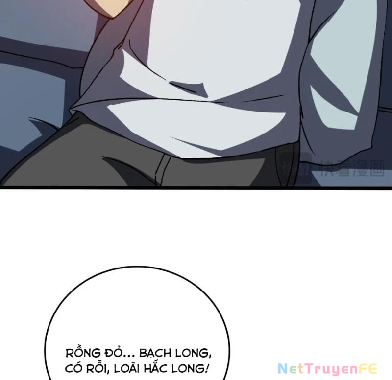 Bắt Đầu Kế Nhiệm Boss Hắc Long, Ta Vô Địch Chapter 16 - Trang 4