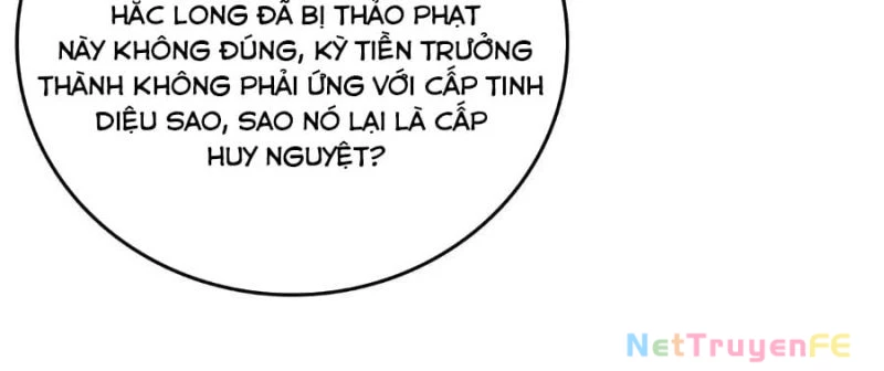 Bắt Đầu Kế Nhiệm Boss Hắc Long, Ta Vô Địch Chapter 16 - Trang 4