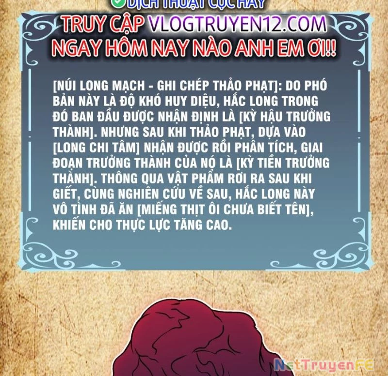 Bắt Đầu Kế Nhiệm Boss Hắc Long, Ta Vô Địch Chapter 16 - Trang 4