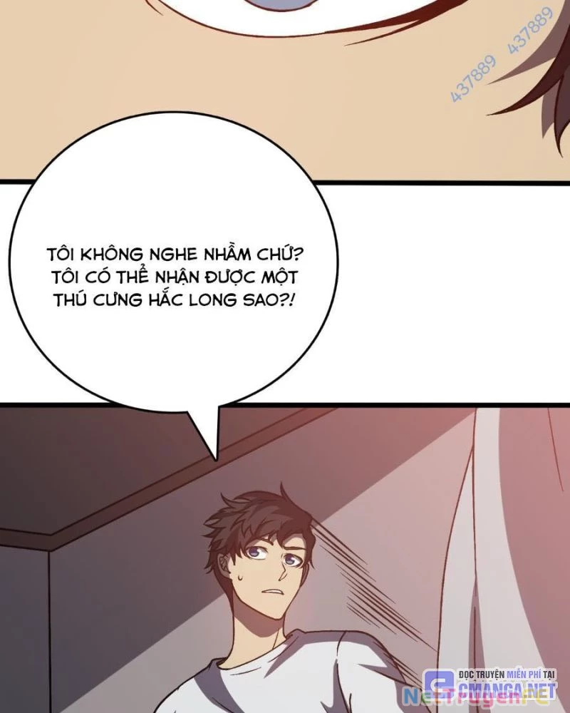 Bắt Đầu Kế Nhiệm Boss Hắc Long, Ta Vô Địch Chapter 16 - Trang 4