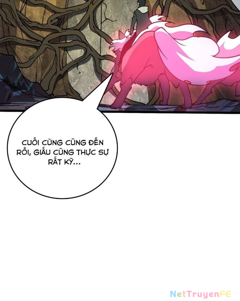 Bắt Đầu Kế Nhiệm Boss Hắc Long, Ta Vô Địch Chapter 24 - Trang 4
