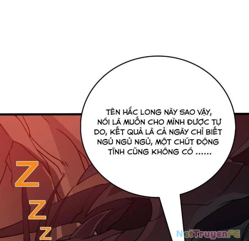 Bắt Đầu Kế Nhiệm Boss Hắc Long, Ta Vô Địch Chapter 25 - Trang 4