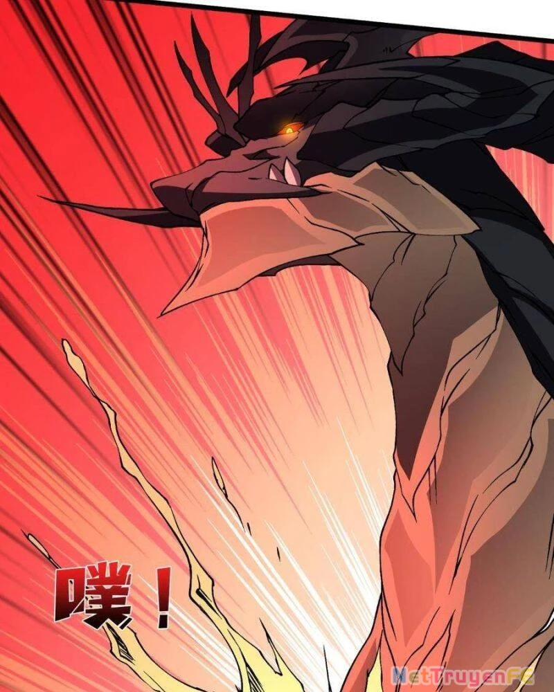 Bắt Đầu Kế Nhiệm Boss Hắc Long, Ta Vô Địch Chapter 25 - Trang 4