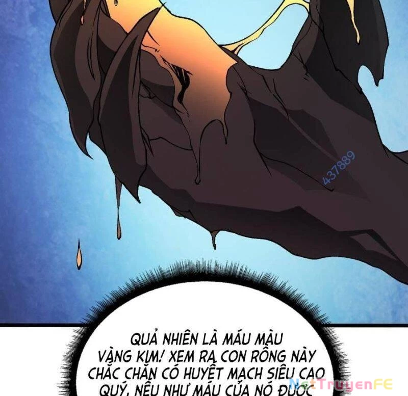 Bắt Đầu Kế Nhiệm Boss Hắc Long, Ta Vô Địch Chapter 25 - Trang 4