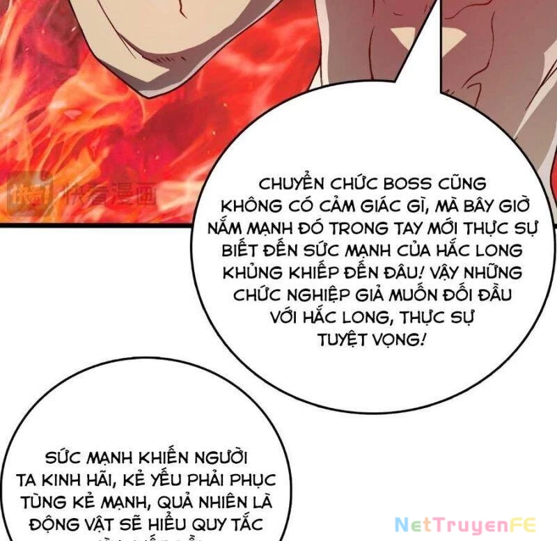 Bắt Đầu Kế Nhiệm Boss Hắc Long, Ta Vô Địch Chapter 25 - Trang 4