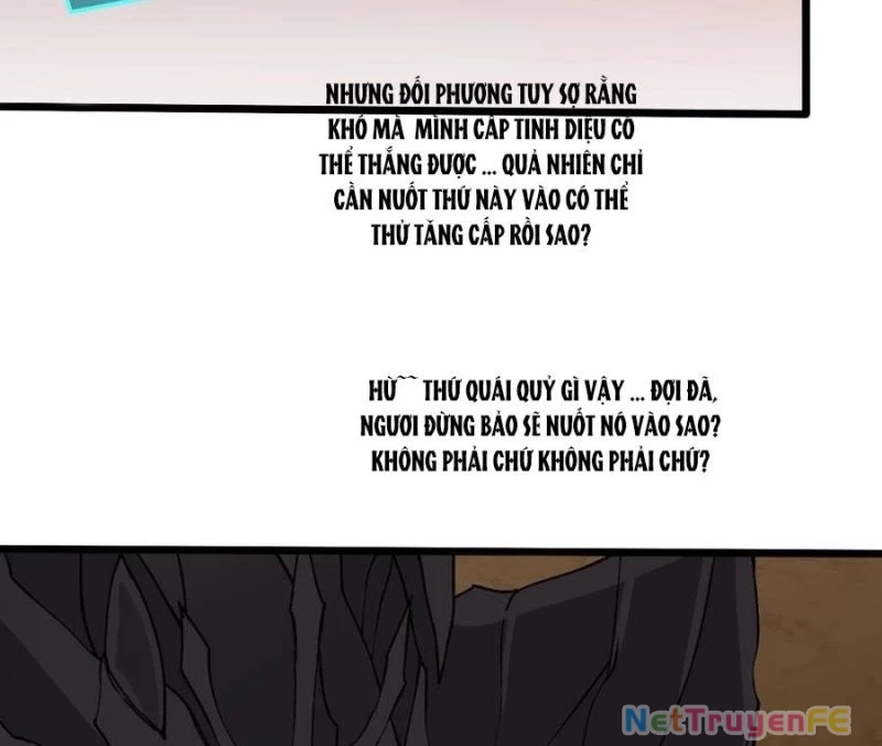 Bắt Đầu Kế Nhiệm Boss Hắc Long, Ta Vô Địch Chapter 30 - Trang 4